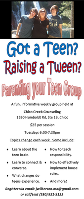 Teen Parenting Flyer